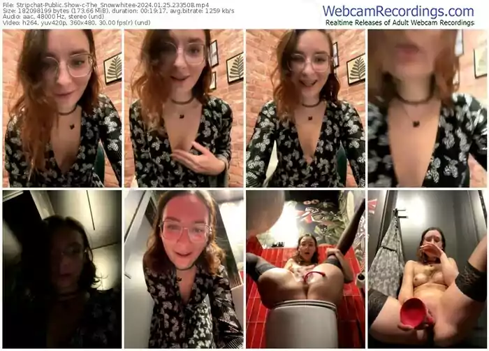 stripchat-the_snowwhitee-01-25-2024-23-35-08