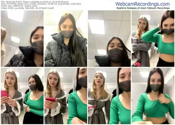 stripchat-shybabyss-01-25-2024-22-25-48