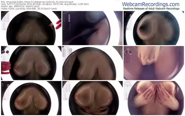 stripchat-cuteberries-01-25-2024-20-11-03