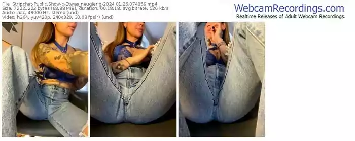 stripchat-etwas_neugierig-01-26-2024-07-48-59