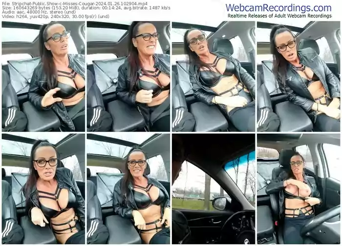 stripchat-misses-cougar-01-26-2024-10-29-04