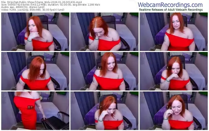 stripchat-dana_wolv-01-26-2024-00-14-31