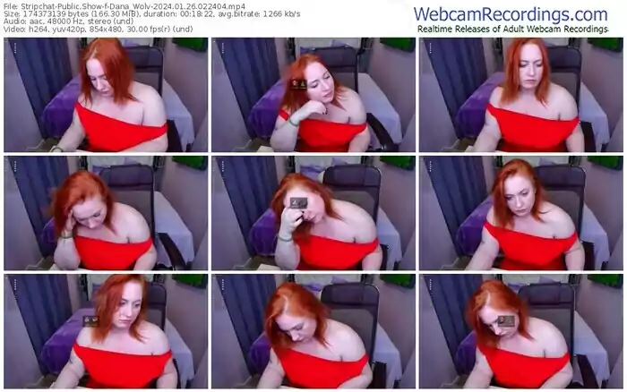 stripchat-dana_wolv-01-26-2024-02-24-04