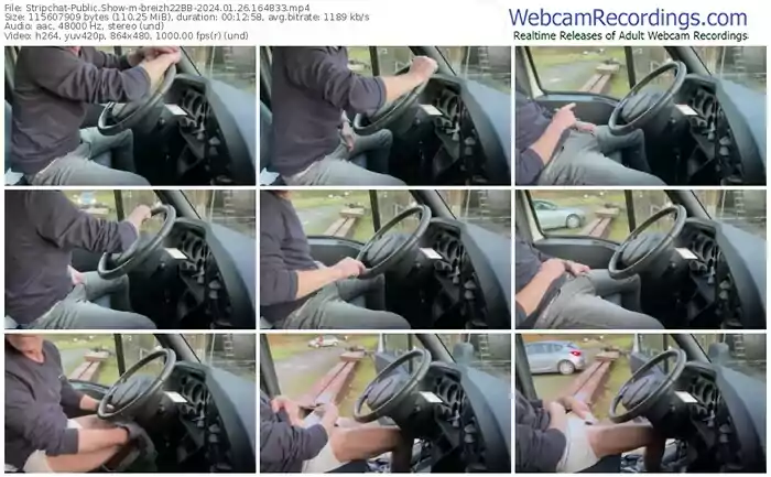 stripchat-breizh22bb-01-26-2024-16-48-33