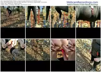 stripchat-odinoinlove-01-27-2024-10-49-51