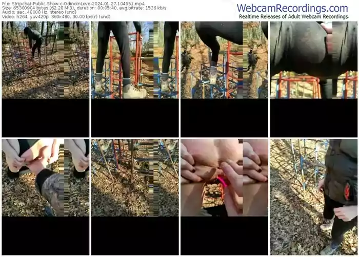 stripchat-odinoinlove-01-27-2024-10-49-51