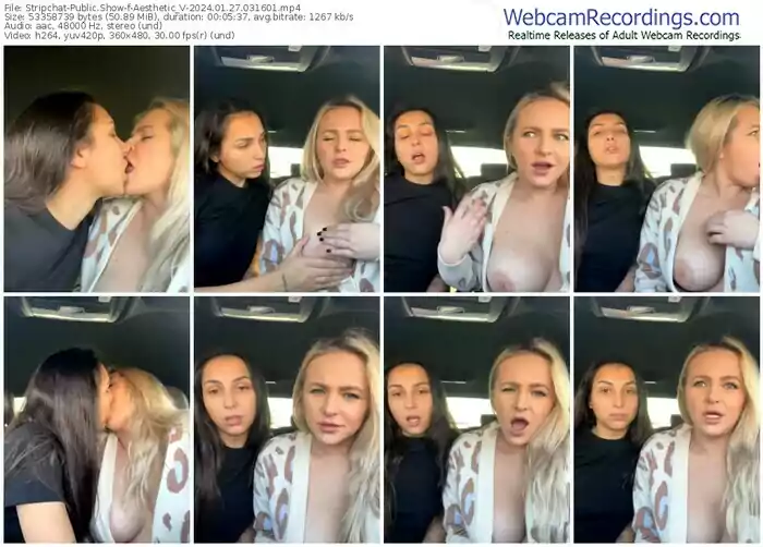 stripchat-aesthetic_v-01-27-2024-03-16-01