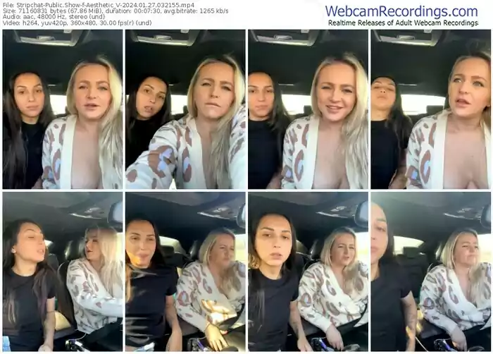 stripchat-aesthetic_v-01-27-2024-03-21-55