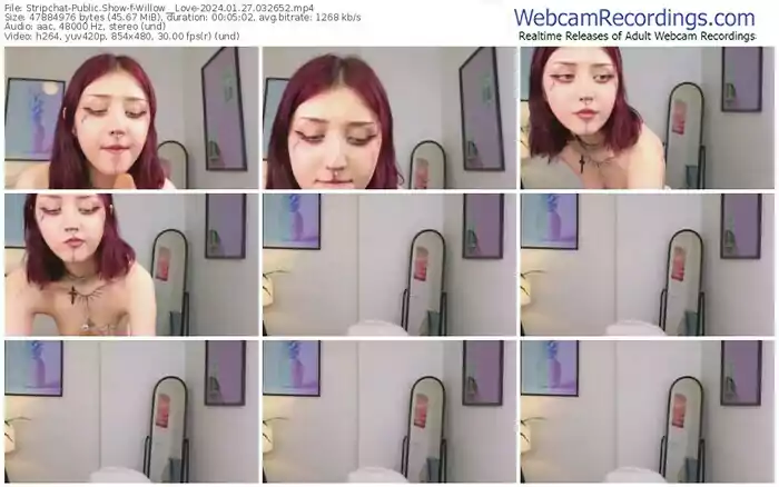 stripchat-willow__love-01-27-2024-03-26-52