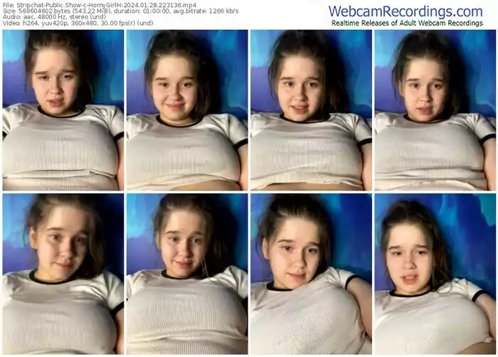 stripchat-hornygirlh-01-28-2024-22-31-36