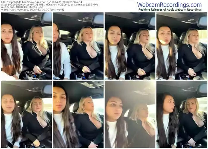 stripchat-aesthetic_v-01-28-2024-02-51-30