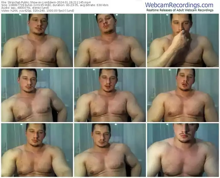 stripchat-lionedwin-01-28-2024-21-11-45