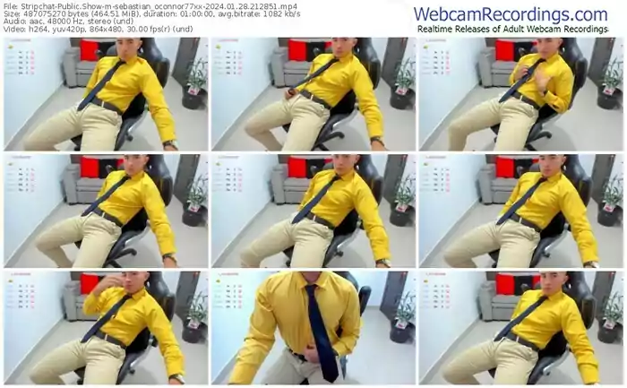stripchat-sebastian_oconnor77xx-01-28-2024-21-28-51