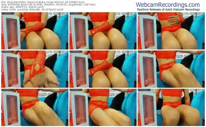 stripchat-dakota_rouge-01-28-2024-23-48-53