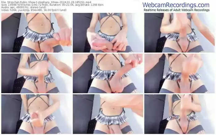 stripchat-stephany_69sex-01-28-2024-18-52-31