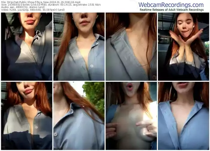 stripchat-teya_new-01-29-2024-00-41-18