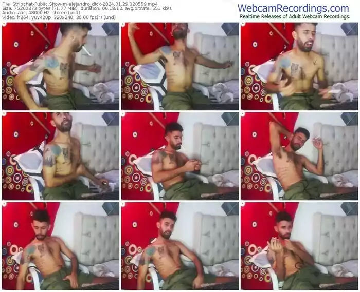 stripchat-alejandro_dick-01-29-2024-02-05-59