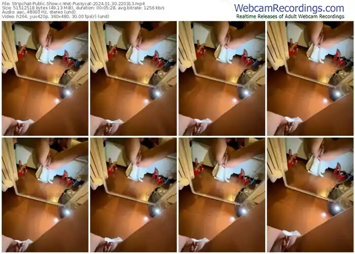stripchat-wet-pussycat-01-30-2024-22-03-13