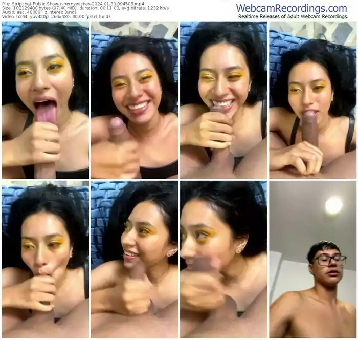 stripchat-hornywishes-01-30-2024-09-45-08