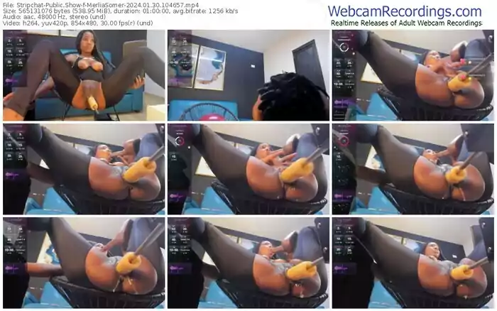 stripchat-merliasomer-01-30-2024-10-46-57