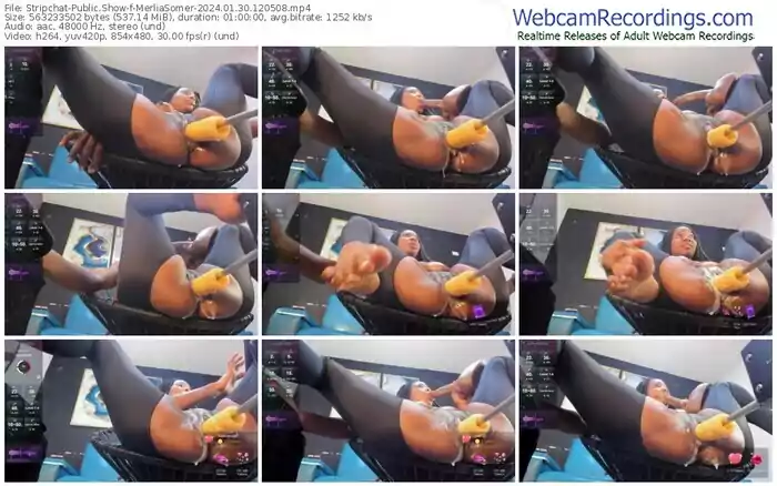 stripchat-merliasomer-01-30-2024-12-05-08