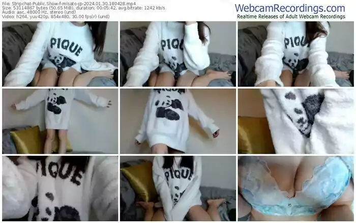 stripchat-misato-jp-01-30-2024-18-04-28