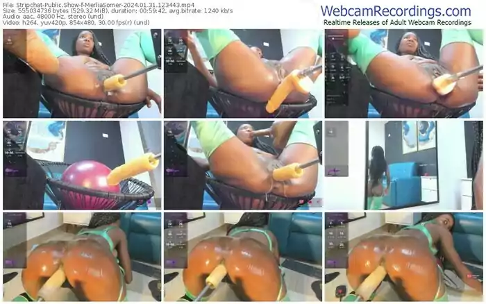 stripchat-merliasomer-01-31-2024-12-34-43