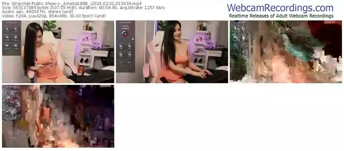 stripchat-_amelia1888_-02-01-2024-01-50-39