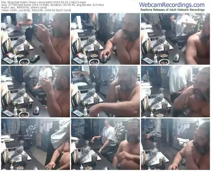 stripchat-tmoc6693-02-01-2024-13-42-13