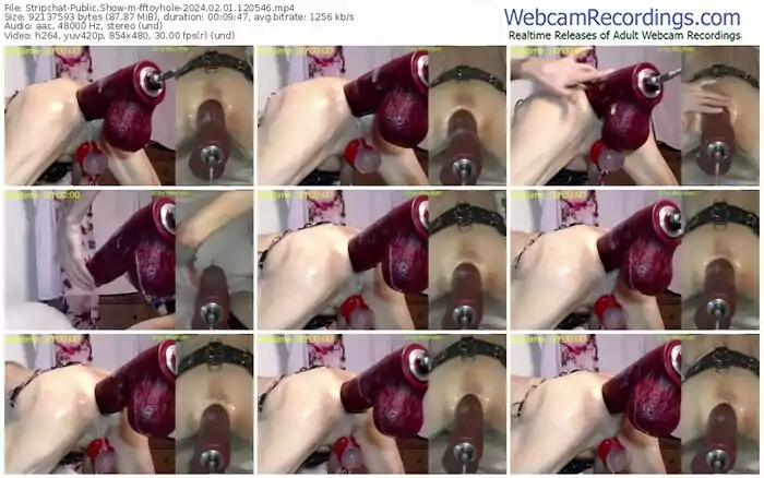 stripchat-fftoyhole-02-01-2024-12-05-46