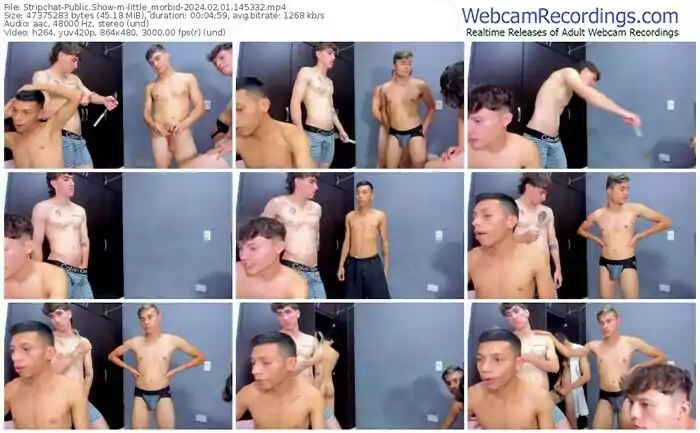 stripchat-little_morbid-02-01-2024-14-53-32