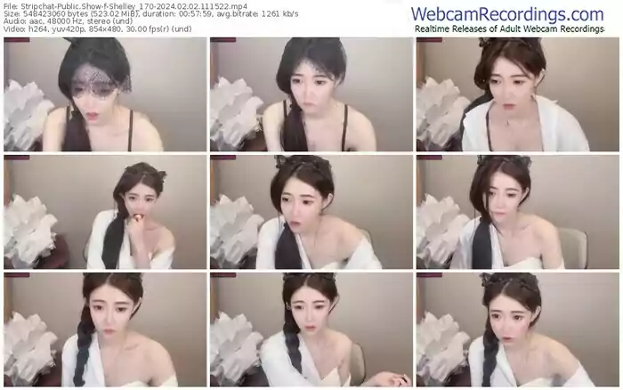 stripchat-shelley_170-02-02-2024-11-15-22