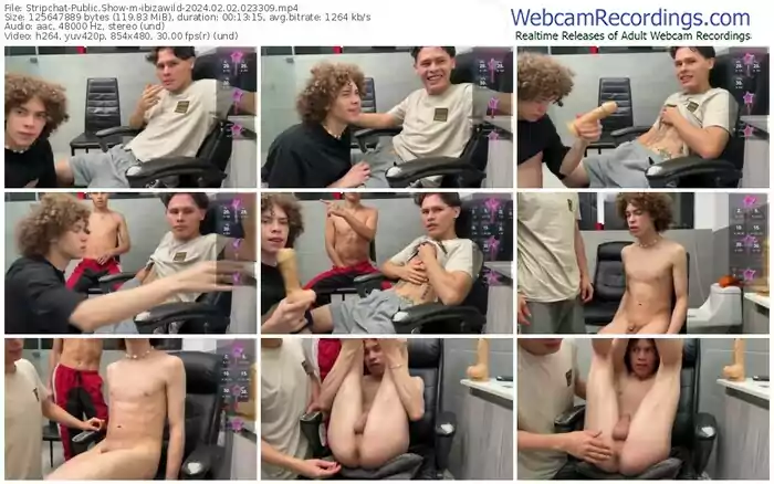 stripchat-ibizawild-02-02-2024-02-33-09