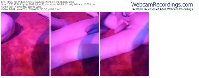 stripchat-nadiine-02-03-2024-01-02-07