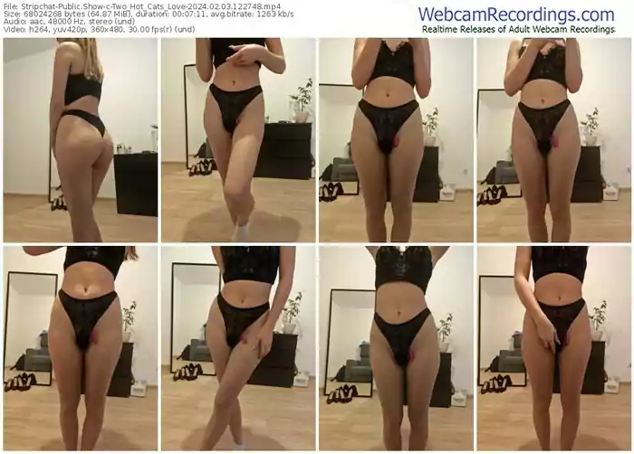 stripchat-two_hot_cats_love-02-03-2024-12-27-48
