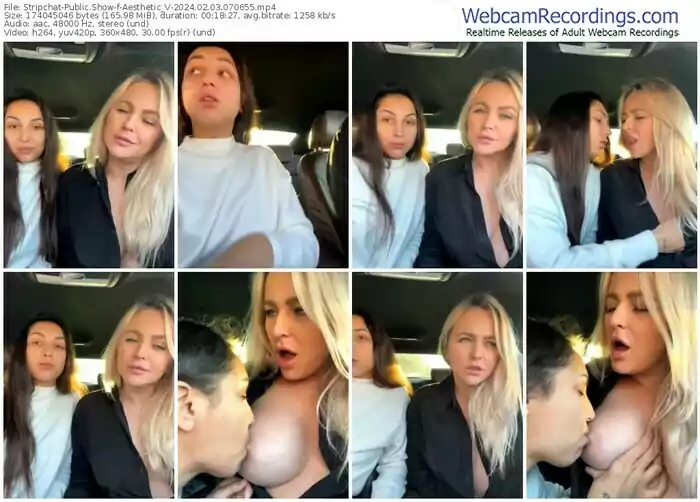 stripchat-aesthetic_v-02-03-2024-07-06-55