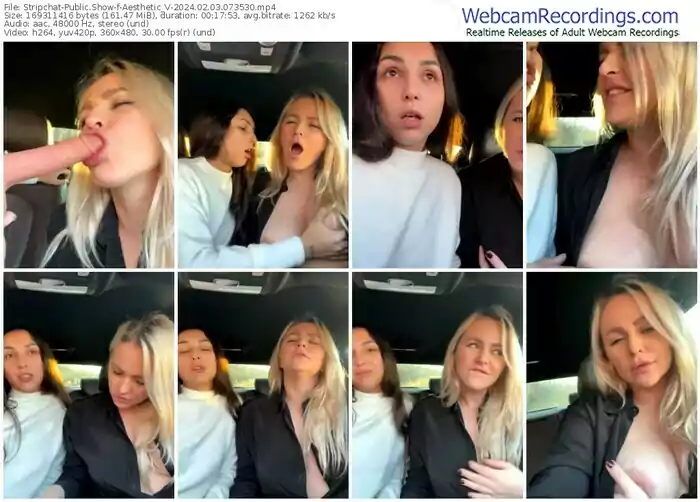 stripchat-aesthetic_v-02-03-2024-07-35-30