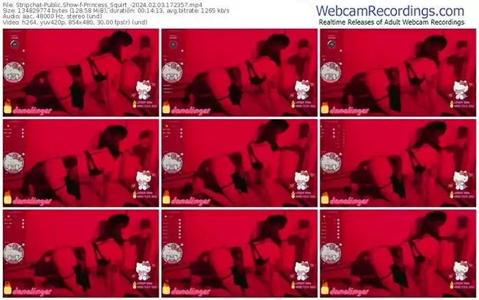 stripchat-princess_squirt_-02-03-2024-17-23-57