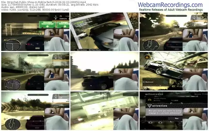 stripchat-robloxtwitch-02-03-2024-20-06-52