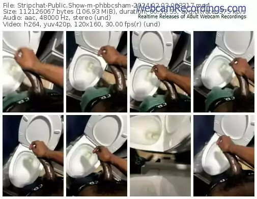 stripchat-phbbcsham-02-03-2024-00-33-17