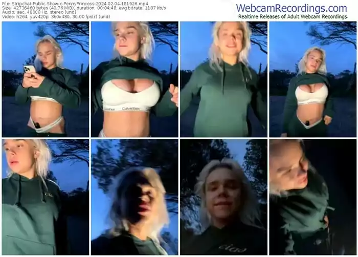 stripchat-pennyprincess-02-04-2024-18-19-26