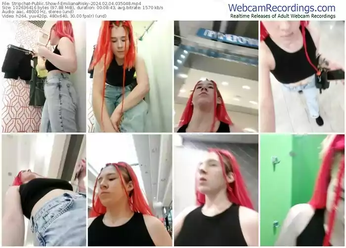 stripchat-emilianarisky-02-04-2024-03-50-48