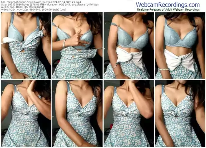 stripchat-wild_seemi-02-04-2024-08-31-49