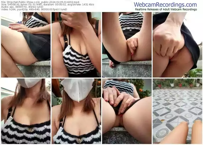 stripchat-zizi_public-02-05-2024-01-42-02