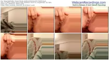 stripchat-amal_arabica-02-05-2024-23-44-20