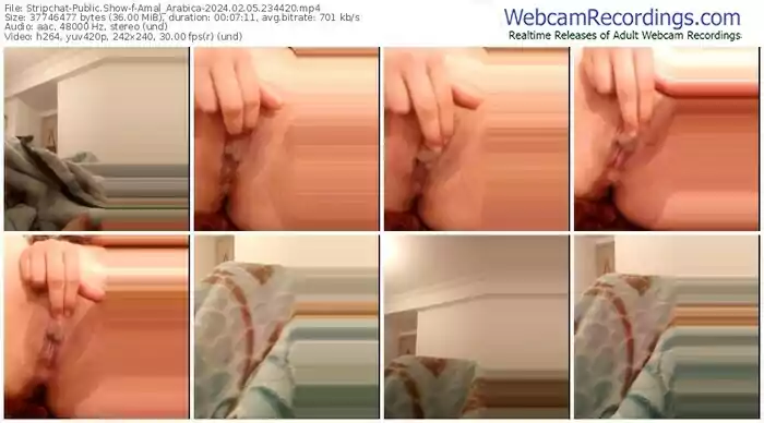 stripchat-amal_arabica-02-05-2024-23-44-20