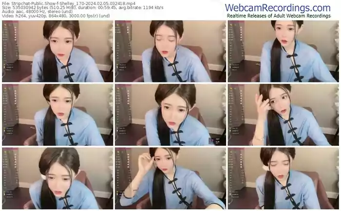 stripchat-shelley_170-02-05-2024-03-24-18