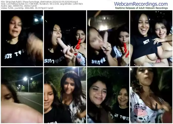 stripchat-privilege_destination-02-05-2024-02-02-49