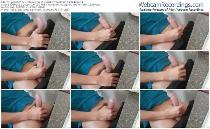 stripchat-melonk04-02-05-2024-04-34-46