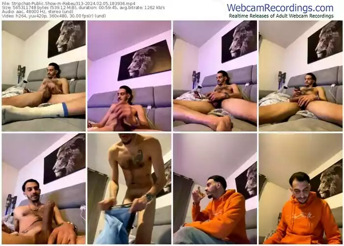 stripchat-rebeu313-02-05-2024-18-39-36